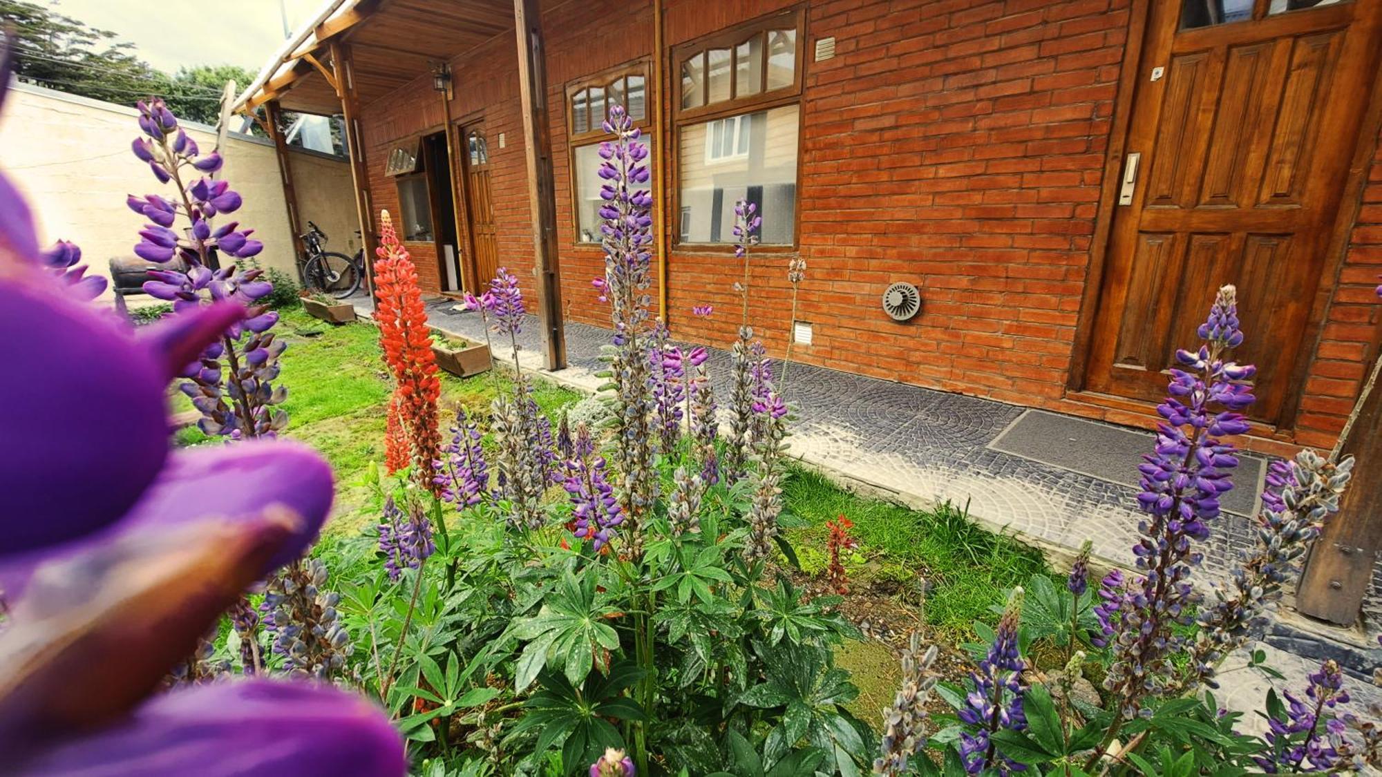 Apartamento Terrazas Del Sur Ushuaia Exterior foto